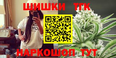 дживик Пенза