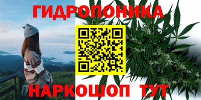 прущие грибы Первоуральск