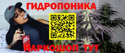 дживик Пенза